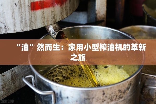 “油”然而生:家用小型榨油机的革新之旅
