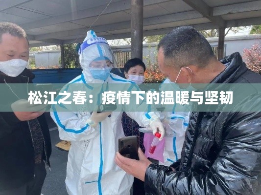 松江之春：疫情下的温暖与坚韧