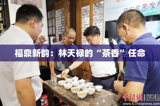 福鼎新韵：林天禄的“茶香”任命