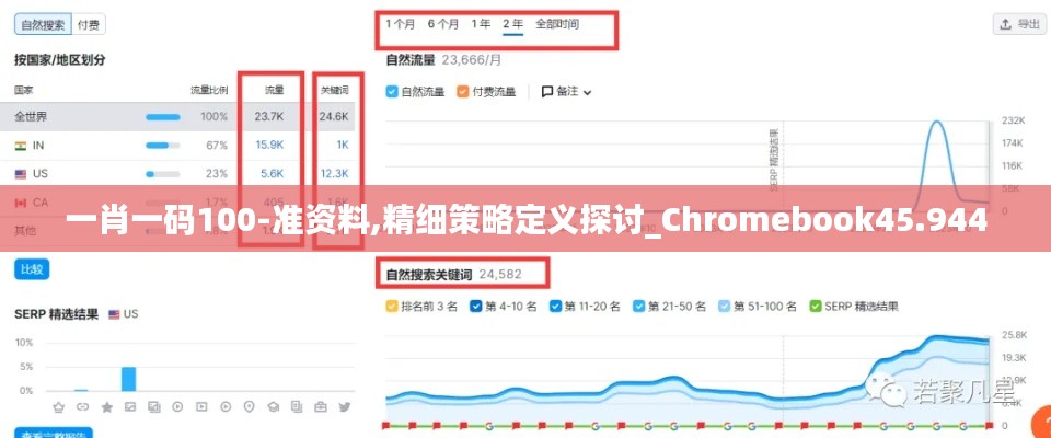 一肖一码100-准资料,精细策略定义探讨_Chromebook45.944
