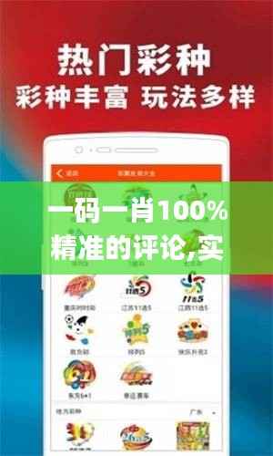 一码一肖100%精准的评论,实地验证数据策略_进阶版186.610