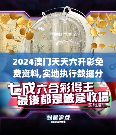 2024澳门天天六开彩免费资料,实地执行数据分析_视频版9.286