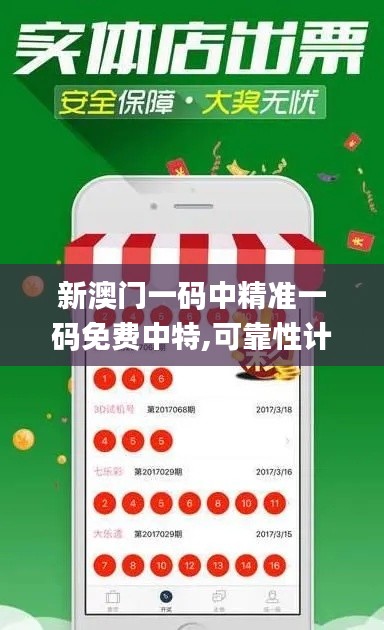 新澳门一码中精准一码免费中特,可靠性计划解析_特供版10.781