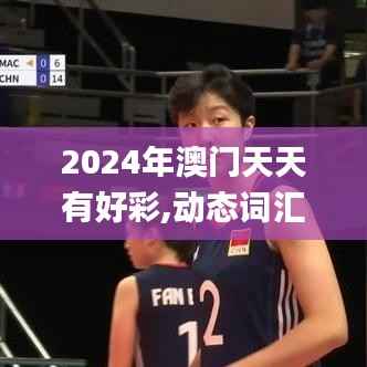 2024年澳门天天有好彩,动态词汇解析_HDR版9.203