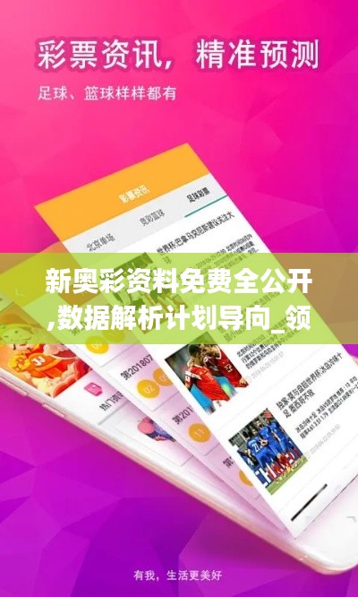 新奥彩资料免费全公开,数据解析计划导向_领航版7.422