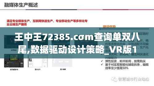 王中王72385.cσm查询单双八尾,数据驱动设计策略_VR版1.268