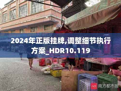 2024年正版挂牌,调整细节执行方案_HDR10.119