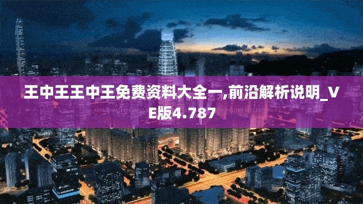 王中王王中王免费资料大全一,前沿解析说明_VE版4.787