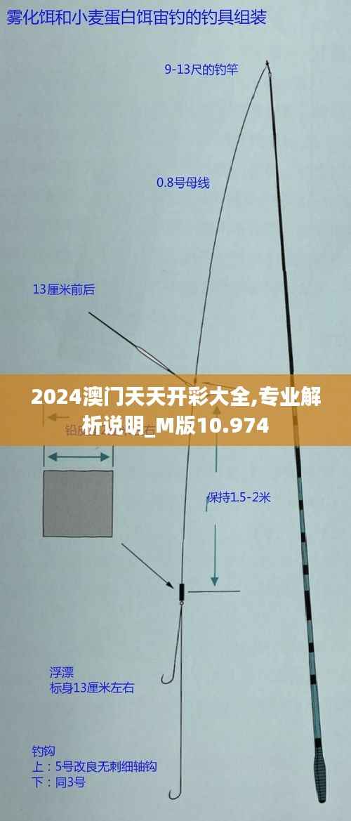 2024澳门天天开彩大全,专业解析说明_M版10.974