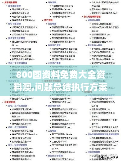 800图资料免费大全资料澳,问题总结执行方案_经典款3.574