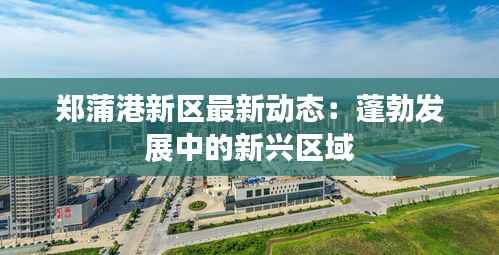 郑蒲港新区最新动态：蓬勃发展中的新兴区域