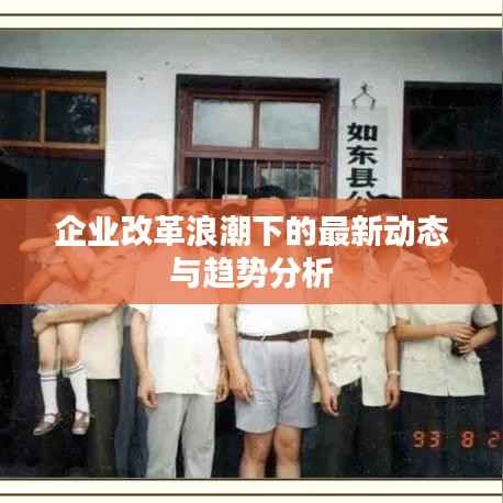 企业改革浪潮下的最新动态与趋势分析