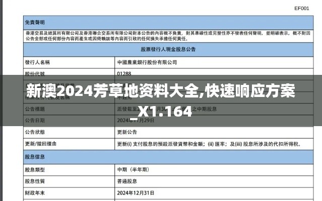 新澳2024芳草地资料大全,快速响应方案_X1.164