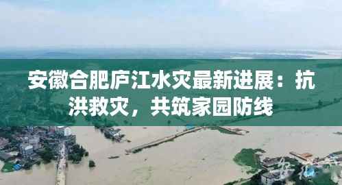 安徽合肥庐江水灾最新进展:抗洪救灾,共筑家园防线