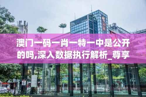 澳门一码一肖一特一中是公开的吗,深入数据执行解析_尊享版2.134