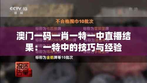 澳门一码一肖一特一中直播结果:一特中的技巧与经验