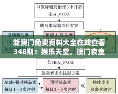新澳门免费资料大全在线查看348期:娱乐天堂,澳门夜生活指南登场