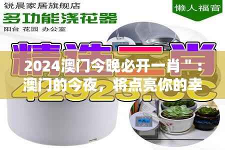 2024澳门今晚必开一肖":澳门的今夜,将点亮你的幸运星