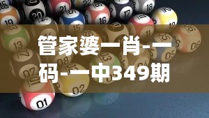 管家婆一肖-一码-一中349期:每一个数字背后的故事