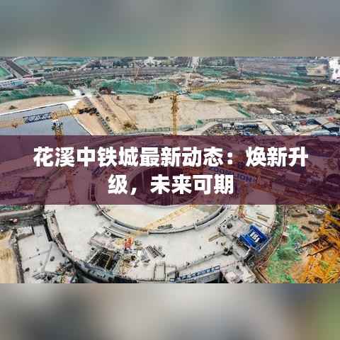 虚张声势 第4页