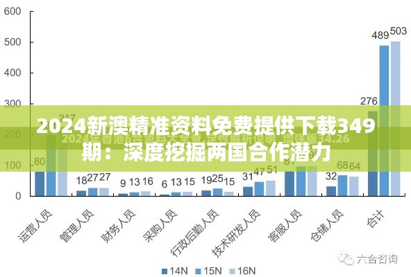 2024新澳精准资料免费提供下载349期：深度挖掘两国合作潜力