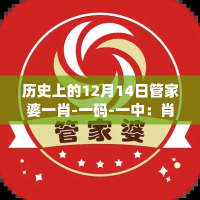 历史上的12月14日管家婆一肖-一码-一中：肖一码与一中的不解之缘