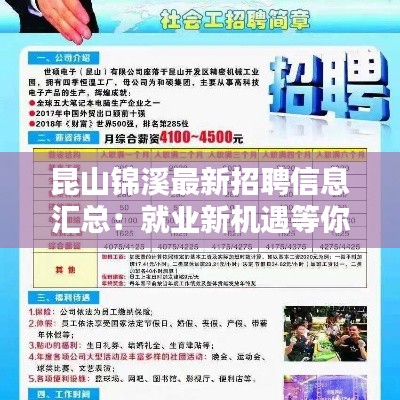 鸟为食亡 第4页