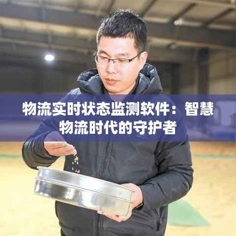 物流实时状态监测软件:智慧物流时代的守护者