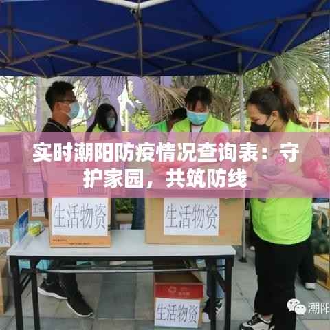 实时潮阳防疫情况查询表：守护家园，共筑防线