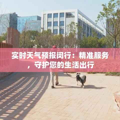 实时天气预报闵行:精准服务,守护您的生活出行