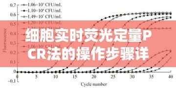 细胞实时荧光定量PCR法的操作步骤详解