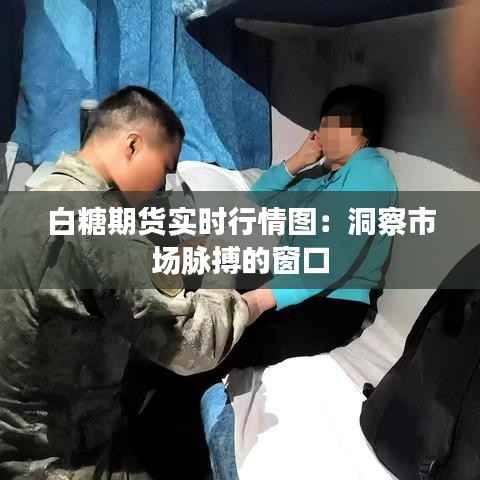 白糖期货实时行情图：洞察市场脉搏的窗口