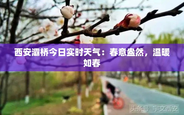 蛙蟆胜负 第3页