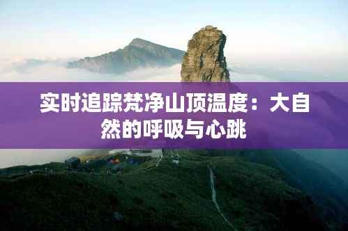 实时追踪梵净山顶温度:大自然的呼吸与心跳