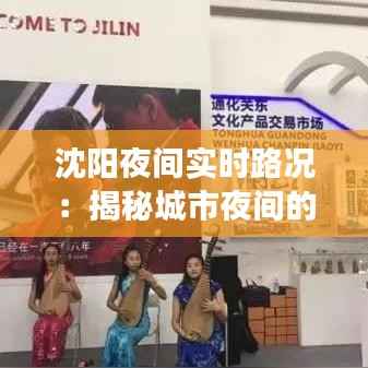 沈阳夜间实时路况：揭秘城市夜间的流动脉搏