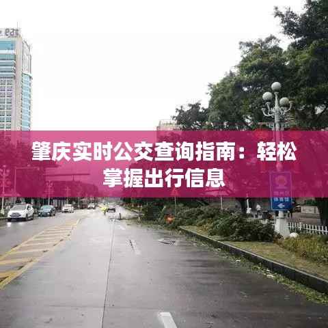 肇庆实时公交查询指南：轻松掌握出行信息