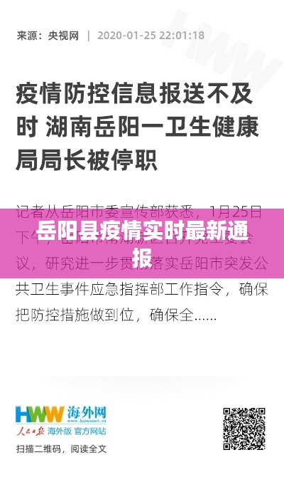 反朴归真 第3页