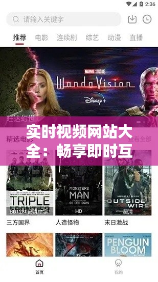 实时视频网站大全：畅享即时互动的视觉盛宴