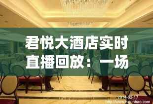 君悦大酒店实时直播回放:一场视觉与味觉的盛宴