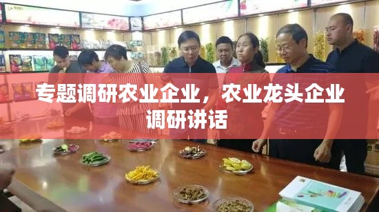 专题调研农业企业,农业龙头企业调研讲话