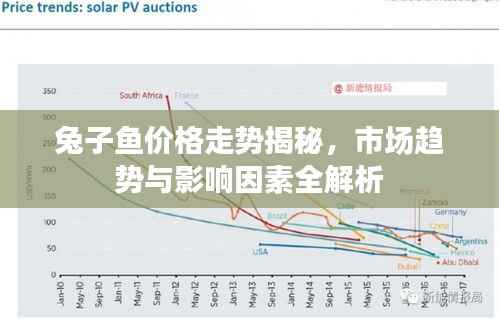 兔子鱼价格走势揭秘,市场趋势与影响因素全解析