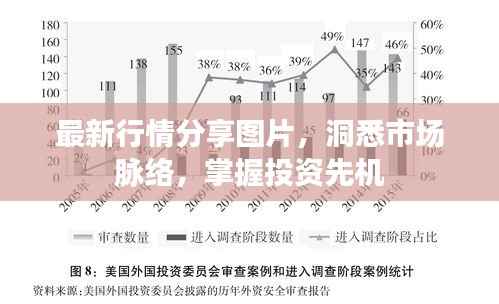 最新行情分享图片,洞悉市场脉络,掌握投资先机