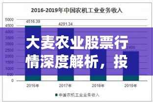 大麦农业股票行情深度解析,投资前景与趋势展望