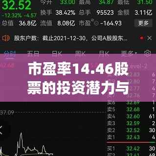 市盈率14.46股票的投资潜力与风险评估深度解析