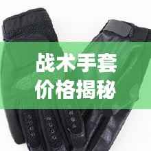 战术手套价格揭秘,不同种类与品质的市场定价对比