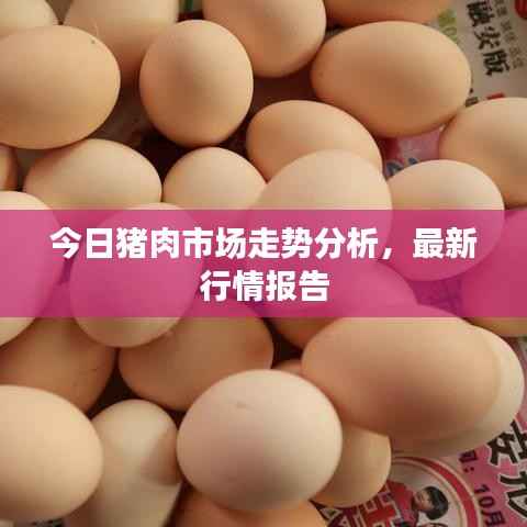 今日猪肉市场走势分析,最新行情报告