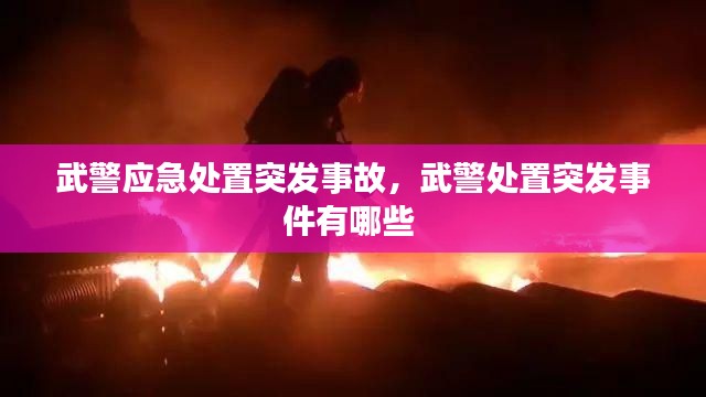 武警应急处置突发事故,武警处置突发事件有哪些