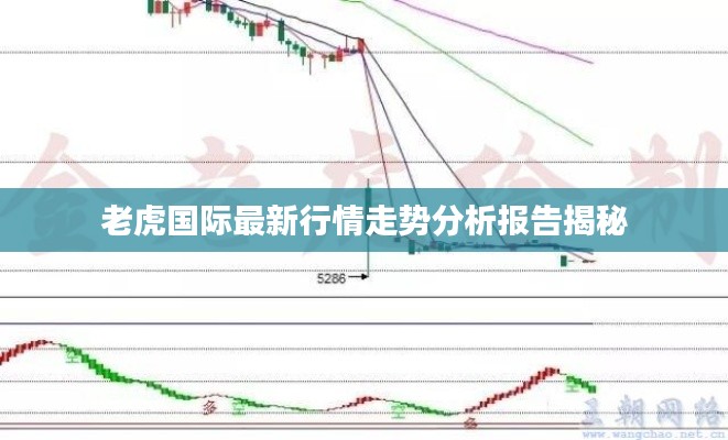 老虎国际最新行情走势分析报告揭秘