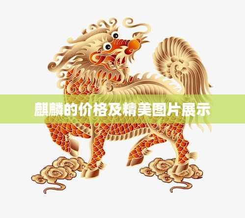 麒麟的价格及精美图片展示