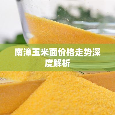 南漳玉米面价格走势深度解析